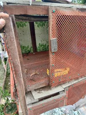 দুইতলা বিশিষ্ট মুরগির খাঁচা