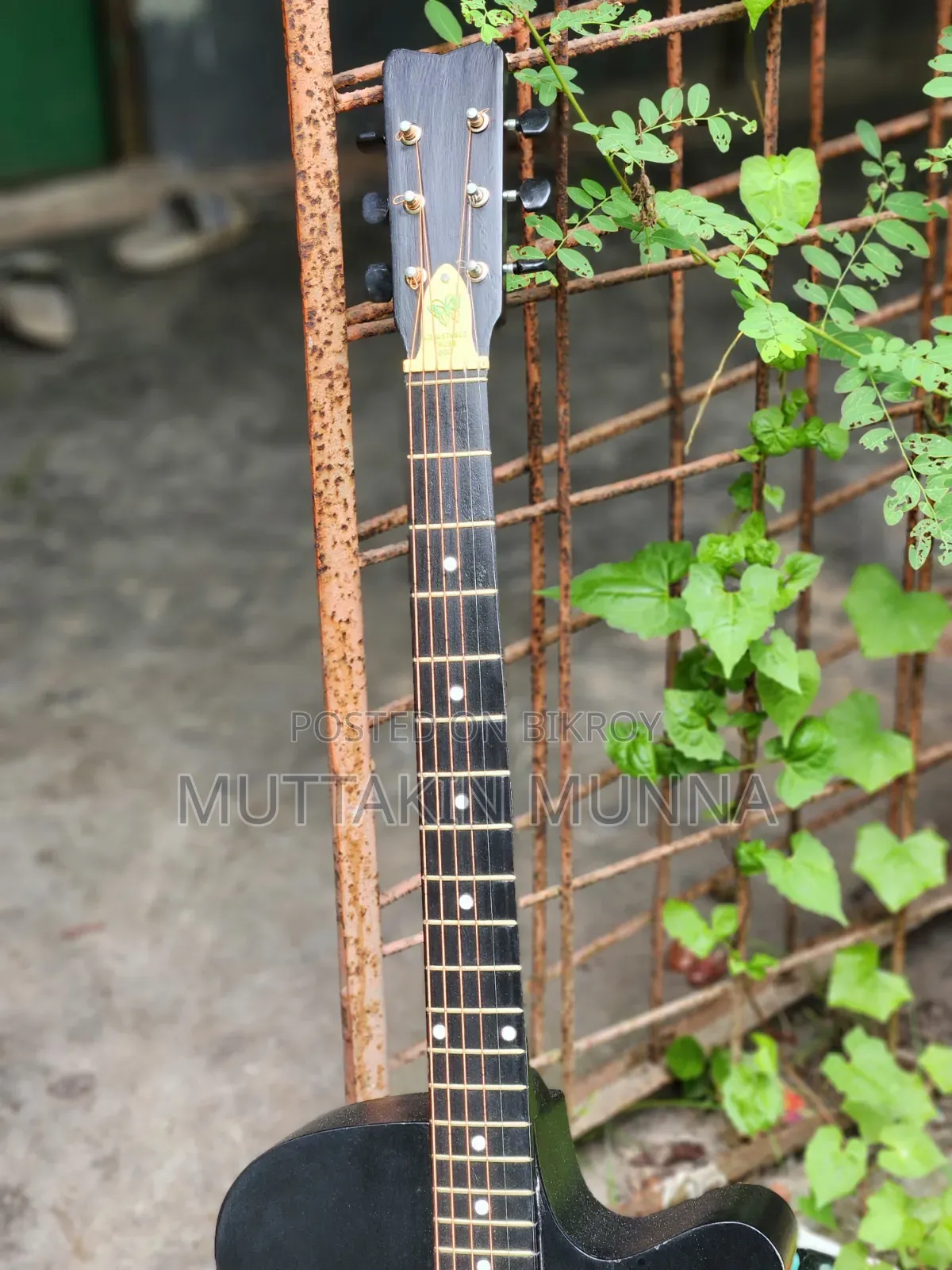 প্রিয় গিটারটি নতুন মালিকের অপেক্ষায়!