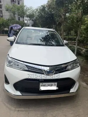 Toyota Axio 2018 White