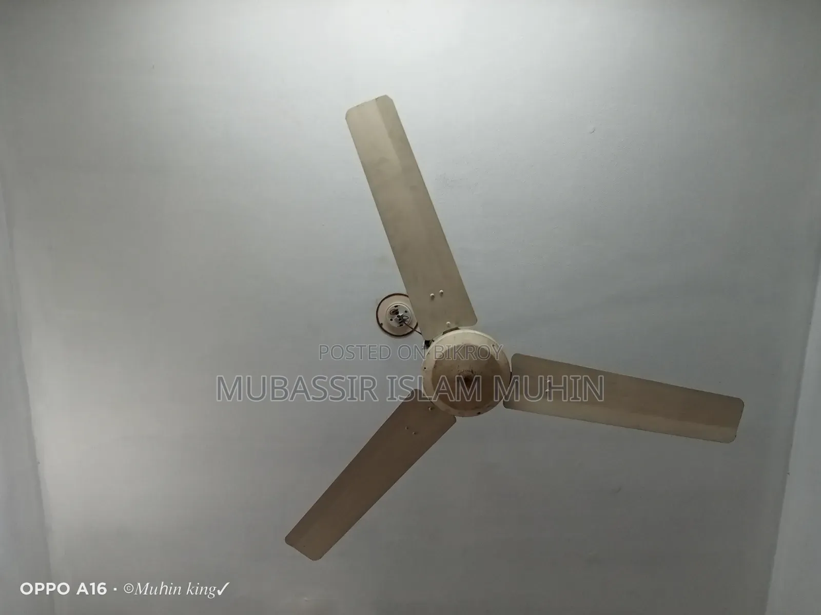 Fan for sale
