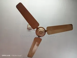Fan for sale