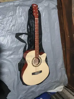 Brand New Guitar