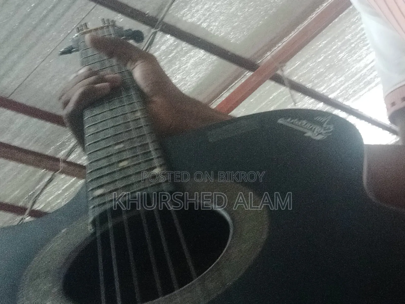 Signecer Gitar