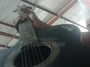 Signecer Gitar