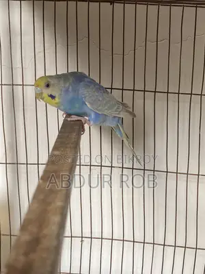 Bird Salepost