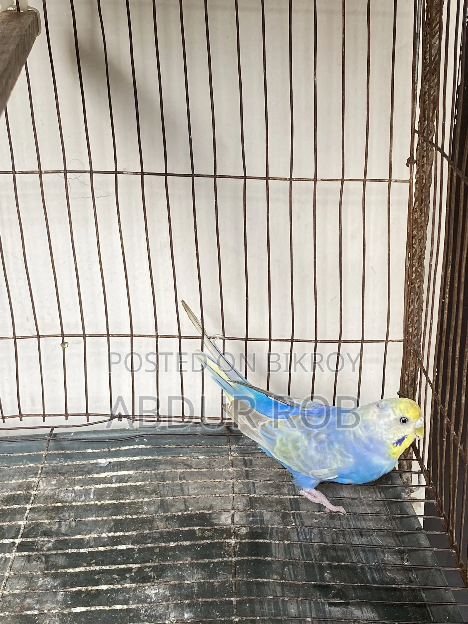 Bird Salepost
