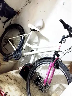 Ladies Bicycle