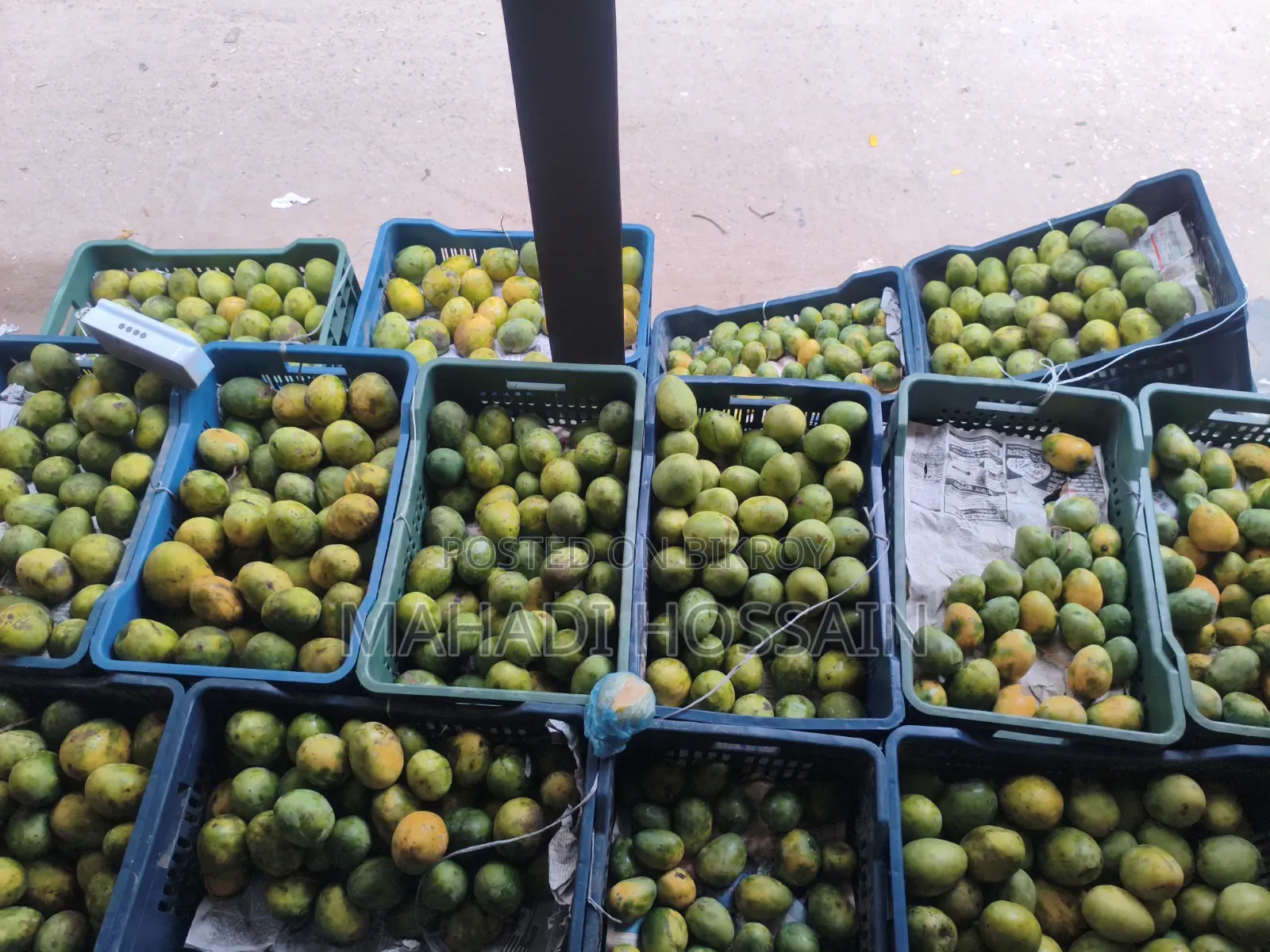 Explosive offer on juicy and sweet mangoes!