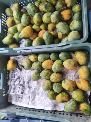 Explosive offer on juicy and sweet mangoes!