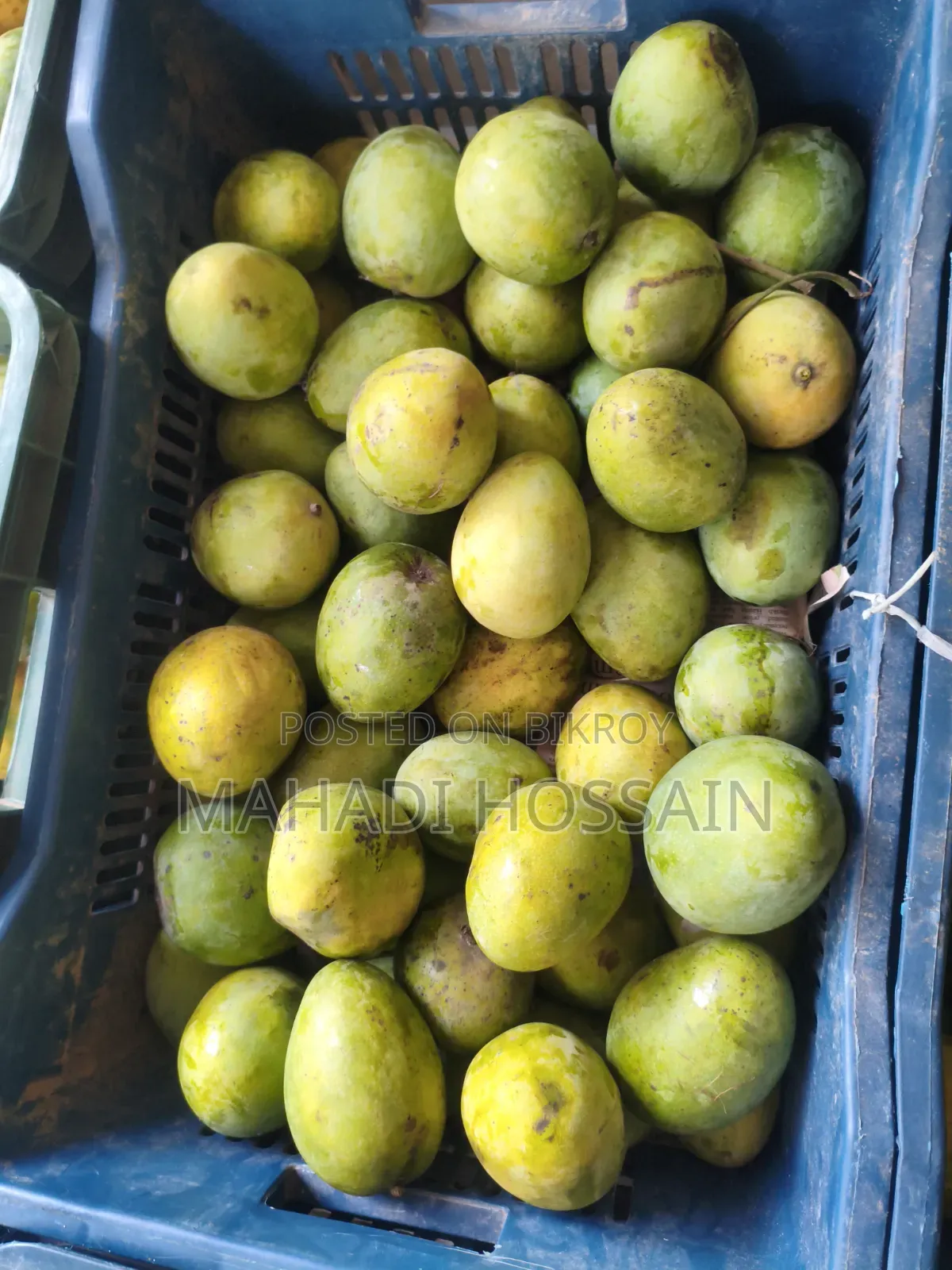 Explosive offer on juicy and sweet mangoes!