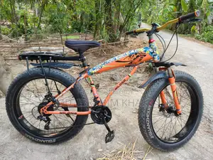 Fat Tire Bicycle