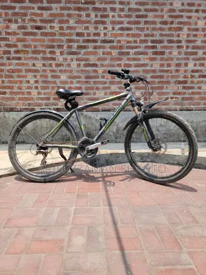 Raleigh Talus 3.0 Mountain Bike