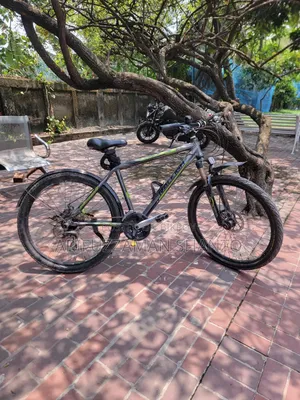 Raleigh Talus 3.0 Mountain Bike