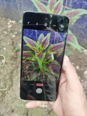 মটোরোলা জি৩৪ ৫জি ১২৮ জিবি নীল