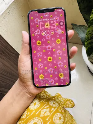 Apple iPhone 12 Pro Max 256 GB Blue