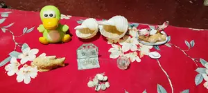 Attractive home decoration and showpiece collection for sale!