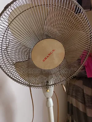 Rangs Stand Fan