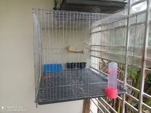 খাচা বিক্রি হবে একদম নতুন