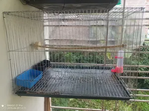 খাচা বিক্রি হবে একদম নতুন