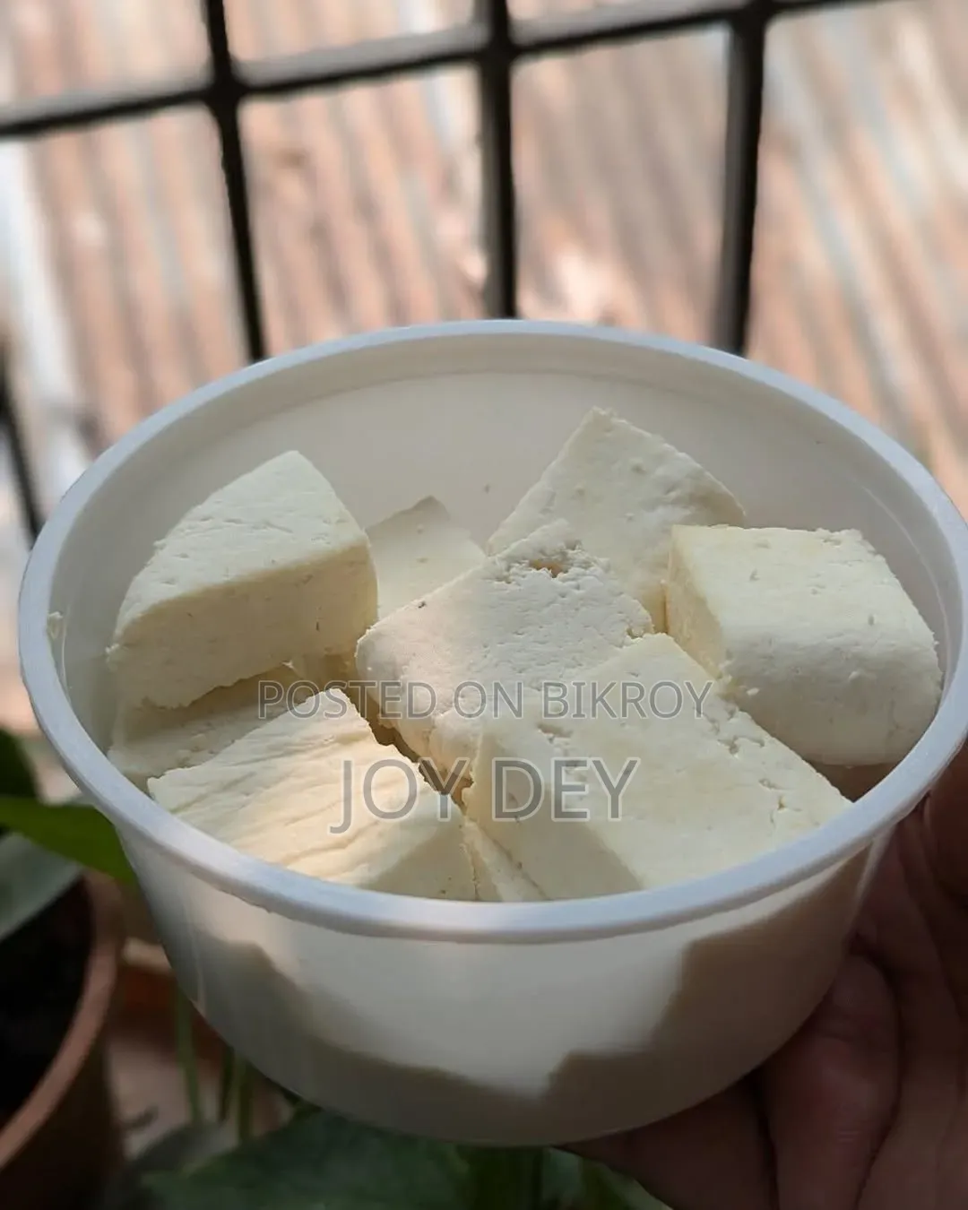 Fresh Homemade Paneer