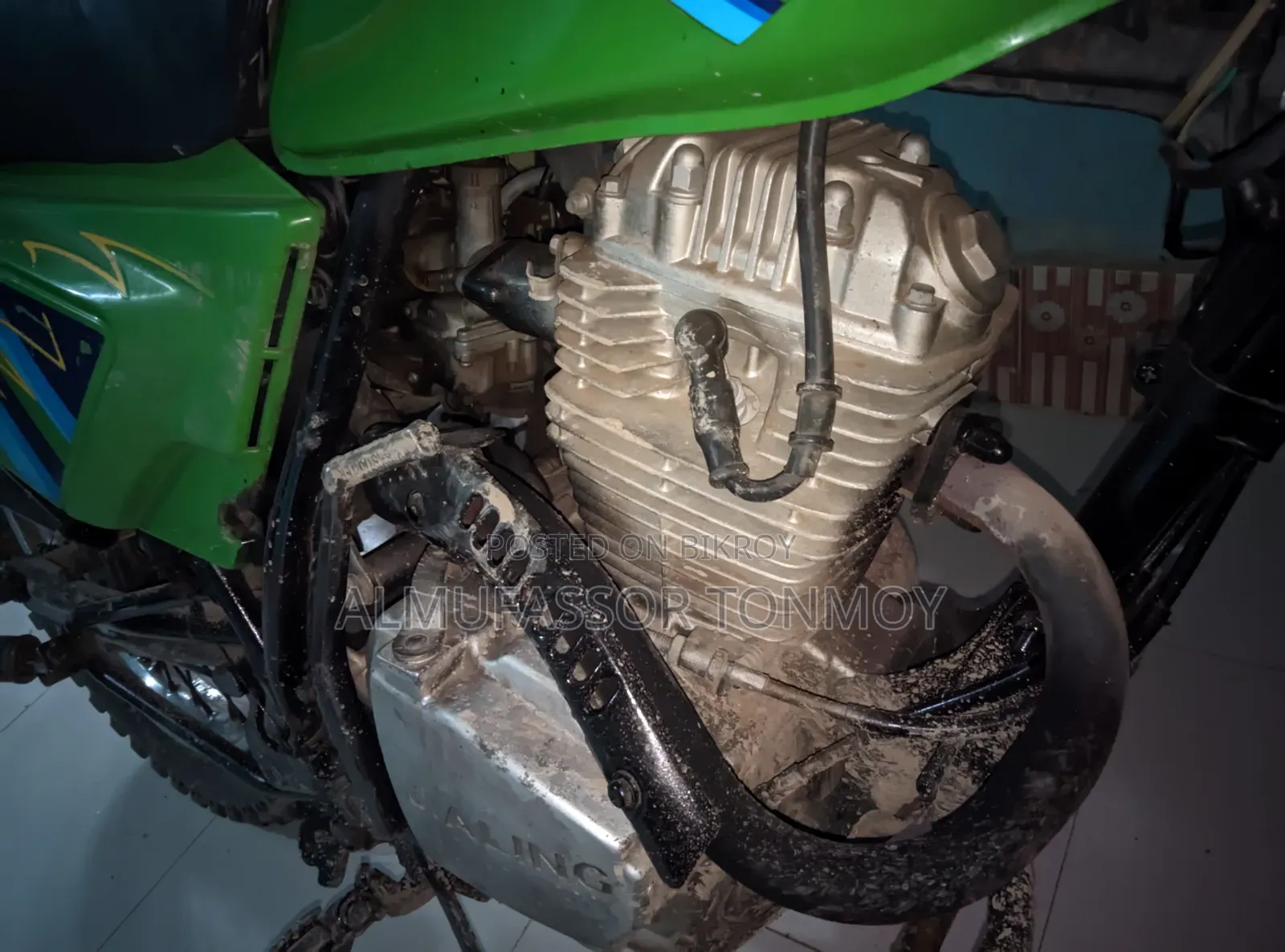 জিয়ালিং জেএইচ১২৫-১২বি পনি ক্রস ২০১৫ সবুজ