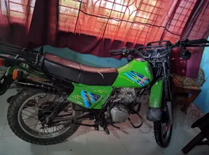 জিয়ালিং জেএইচ১২৫-১২বি পনি ক্রস ২০১৫ সবুজ