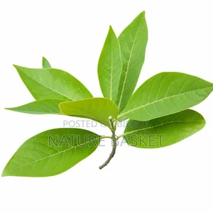 Natural Menda (Kharajra) Tree Leaves