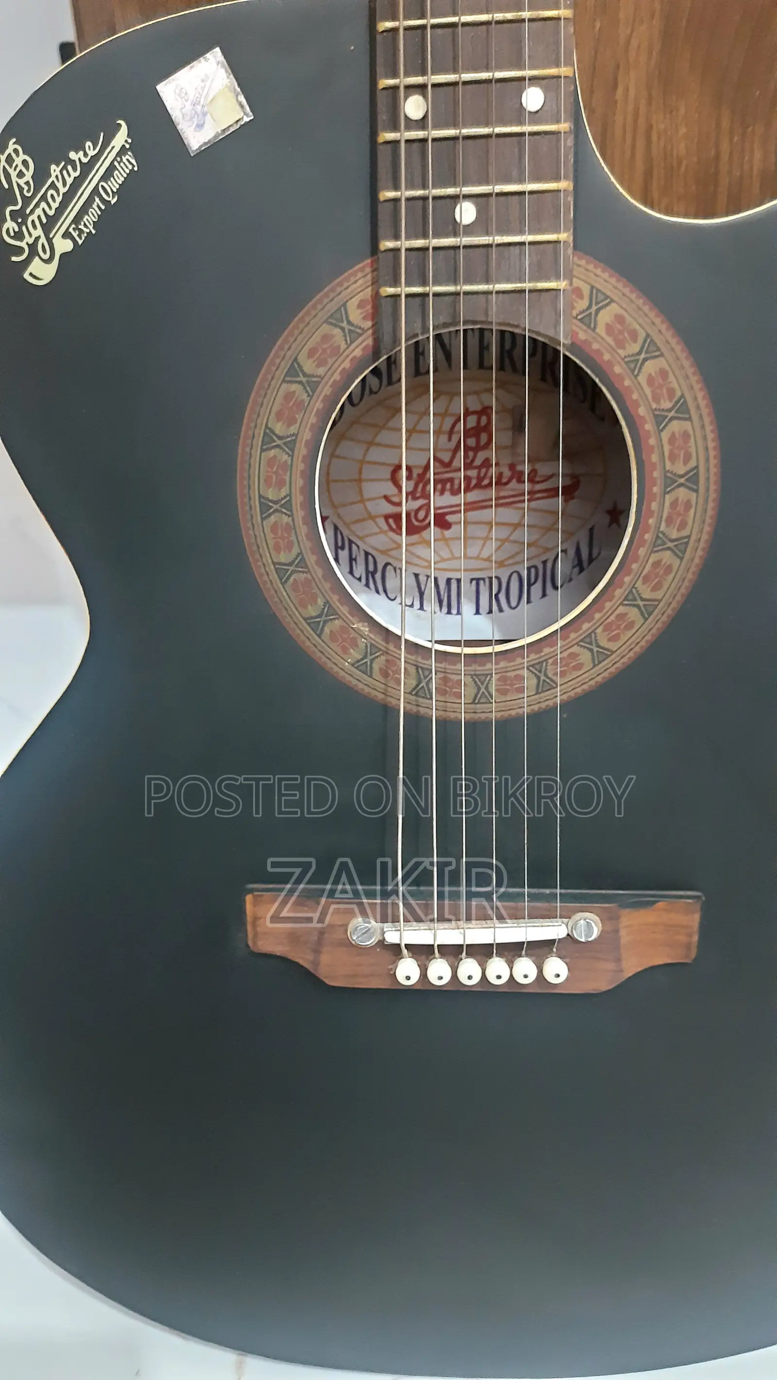 Signature Accoustic Guitar - 265 Raghu