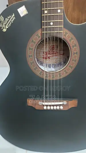 Signature Accoustic Guitar - 265 Raghu