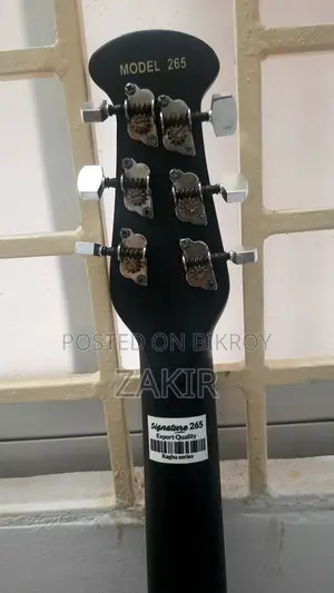 Signature Accoustic Guitar - 265 Raghu