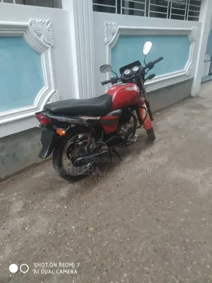 Bajaj Platina 100 2010 Red