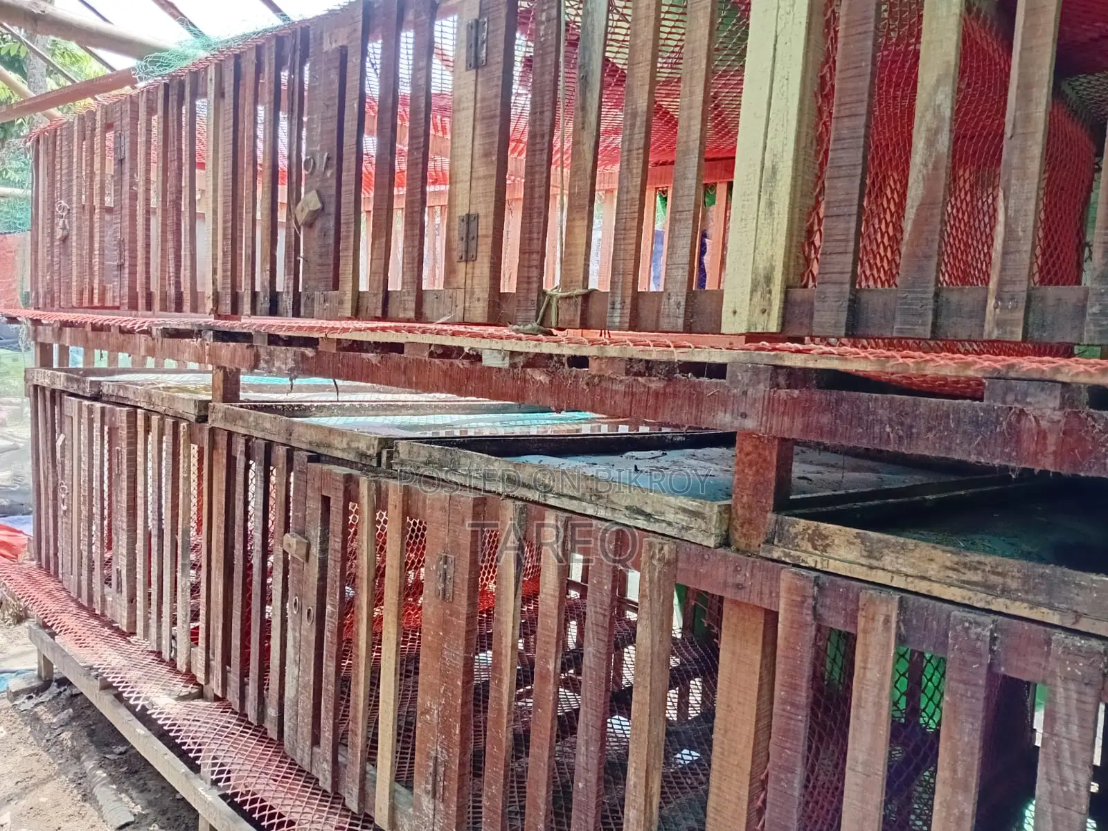 ২ তালা কাঠের মুরগির খাঁচা