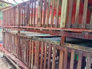 ২ তালা কাঠের মুরগির খাঁচা