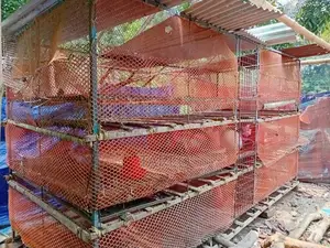 Three-story iron chicken cage