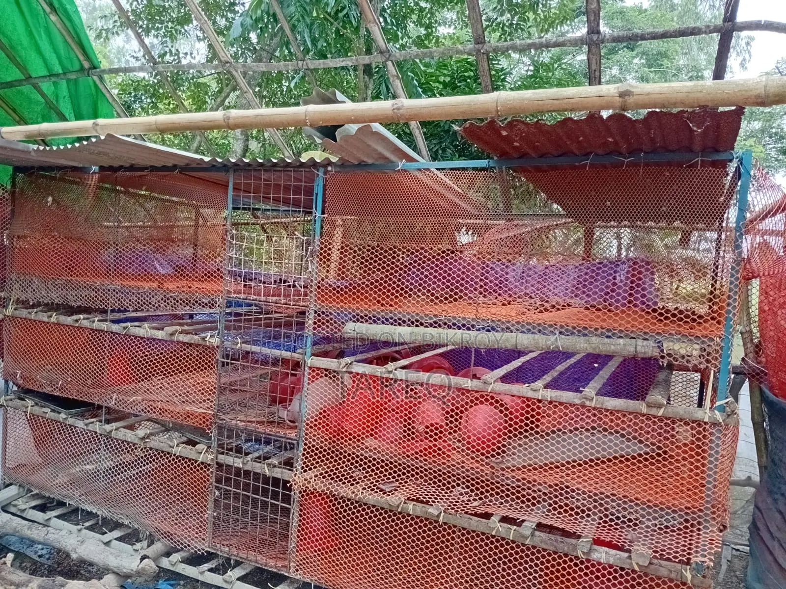 Three-story iron chicken cage