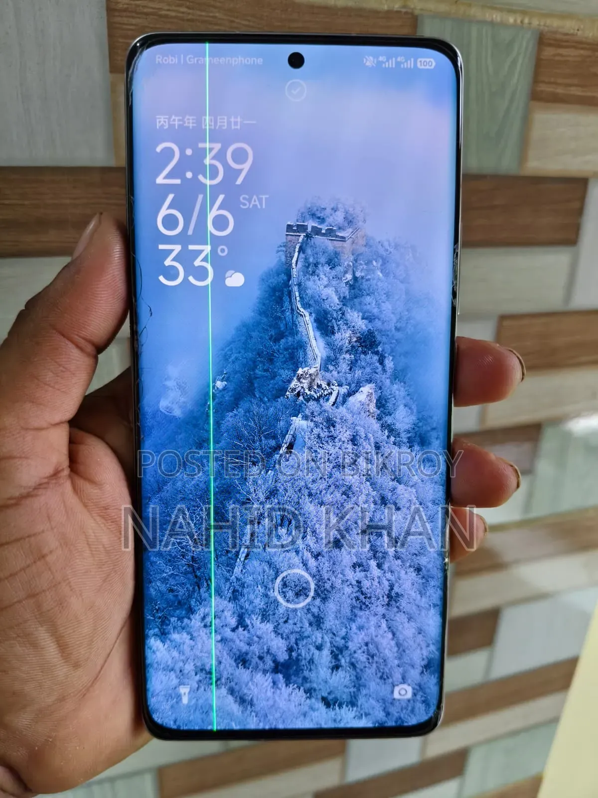Xiaomi 12 Pro 256 GB Silver
