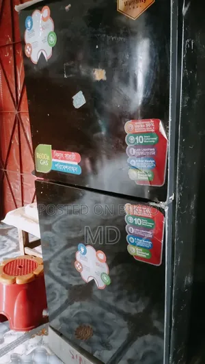 Singer Fridge