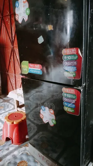 Singer Fridge