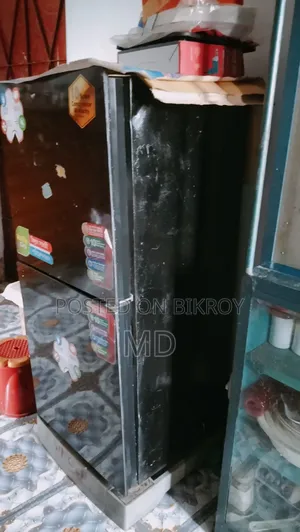 Singer Fridge