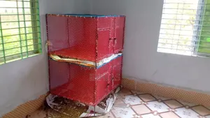 ১০ এমএম রড দিয়ে বানানো মুরগির খাচা (৪ খোপের)