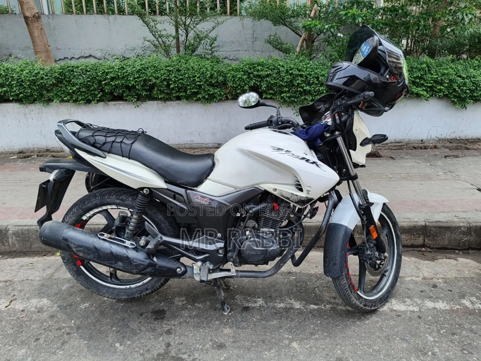 হিরো হাঙ্ক ২০১৯ সাদা