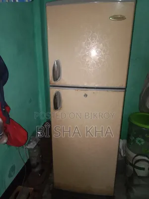 Fridge used for 5 years. No problems. Just an old model.