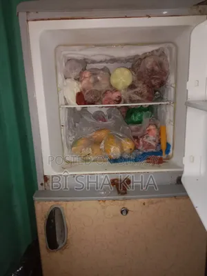 Fridge used for 5 years. No problems. Just an old model.