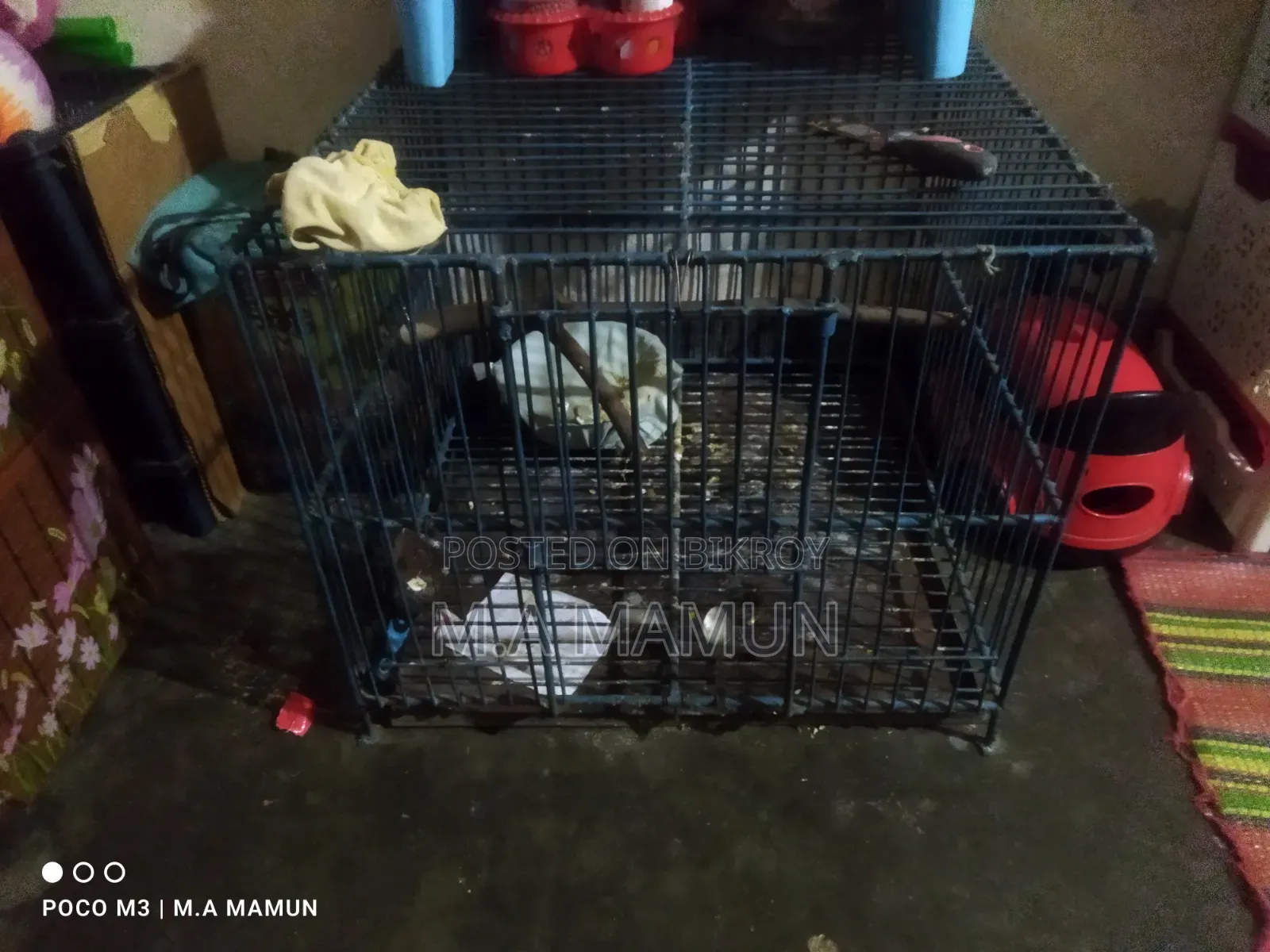 24*24 Sturdy Cage