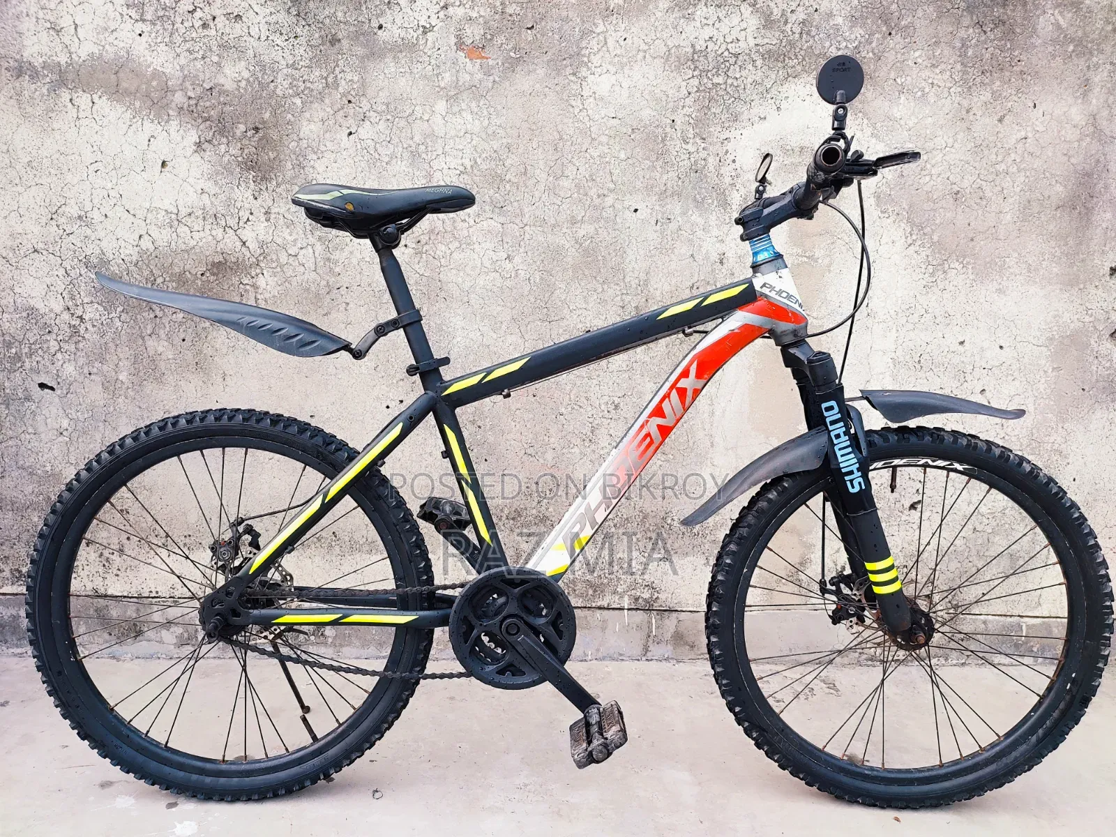 24-inch Phoenix Non-Gear Cycle