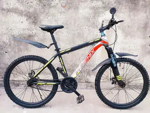 24" Phoenix Non Gear Cycle