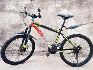 24-inch Phoenix Non-Gear Cycle
