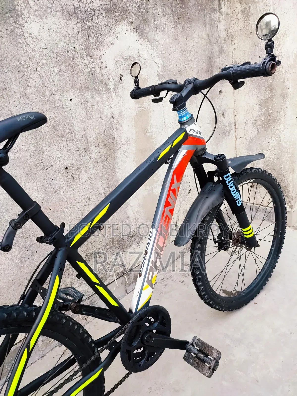 24-inch Phoenix Non-Gear Cycle
