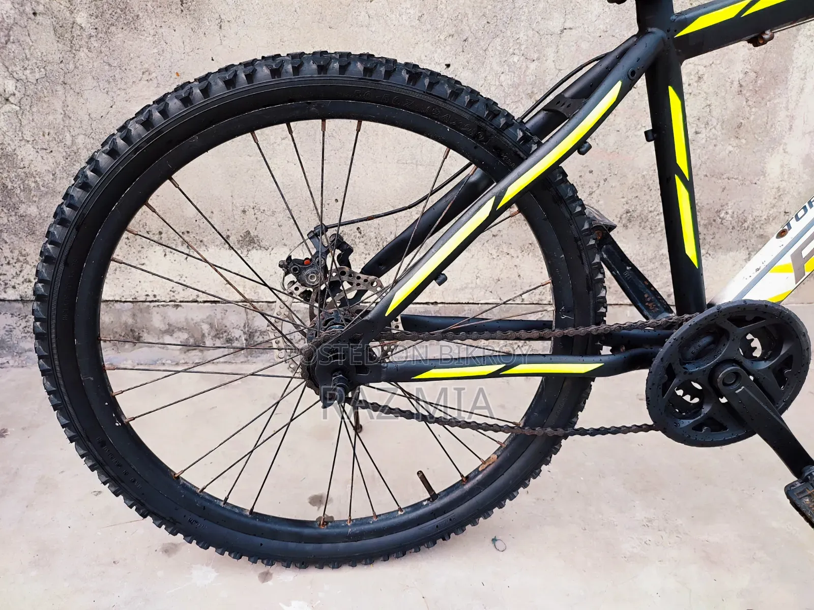 24-inch Phoenix Non-Gear Cycle