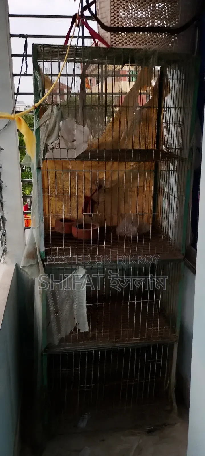 4-Compartment Cage